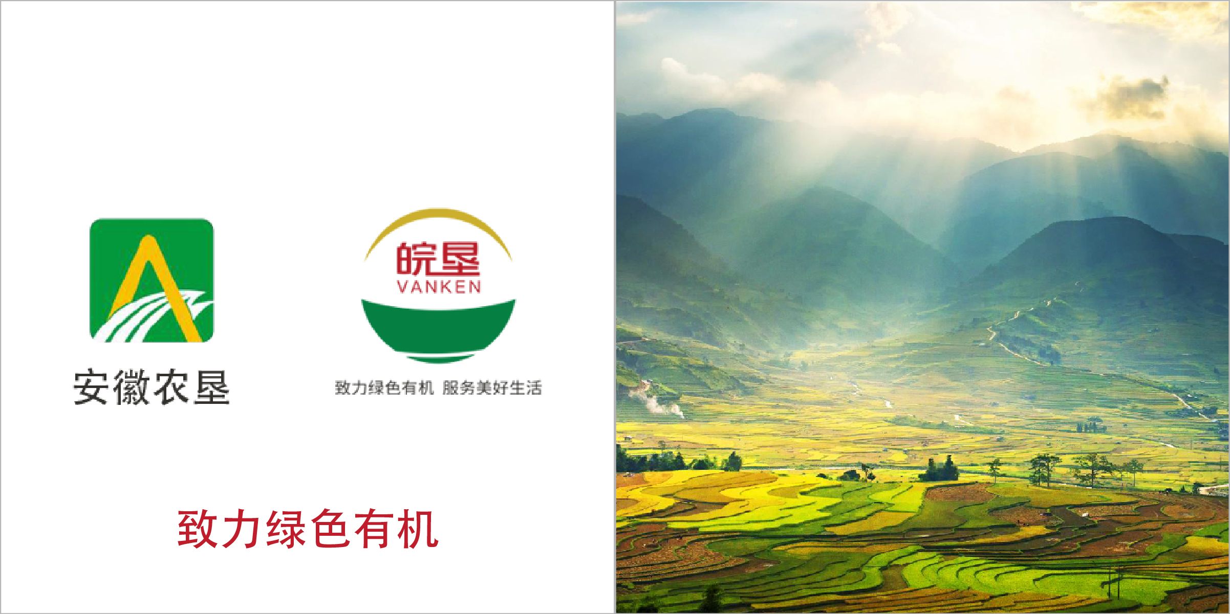 安徽農墾：聚焦主推品牌“皖墾”，協同發展子品牌